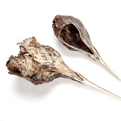 Sarah Elson, Weapons for a New Ecology (detail), 2004–2018, recycled silver and copper alloys, dimensions variable (individual pieces)