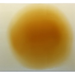 Alex Spremberg, The Pooling Project #7, 2002, enamel and varnish on wood, 122 x 200 x 3cm