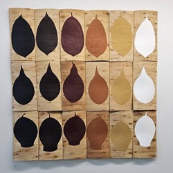 Virginia Ward, 3 Nuts x 6 Colours, 2023, earth pigments on wood offcuts, 49.5 x 24 x 5cm each (set of 18)