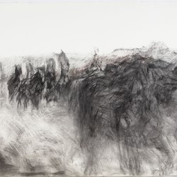 Angela Stewart, The Walers 1915 #1, 2002, charcoal and pastel on Arches paper, 76 x 108cm