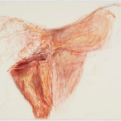 Angela Stewart, Light Horse 1916 #1, 2022, pencil, pastel, Conté crayon and watercolour on paper, 56 x 76cm