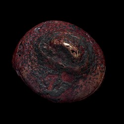 Sarah Elson, 'Pull the earth around me' 12, Gum Nut Cap Pin, 2024, recycled copper 2 x 1.8 x 1.5cm