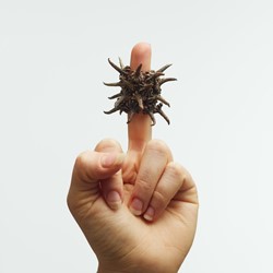 Sarah Elson, Untitled Ring