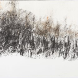Angela Stewart, The Walers 1915 #1, charcoal and pastel on Arches paper, 76 x 108cm