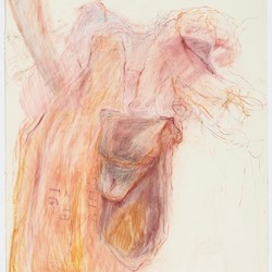 Angela Stewart, Light Horse 1916 #5, 2022, pencil, pastel, Conté crayon and watercolour on Saunders Waterford paper, 76 x 56cm