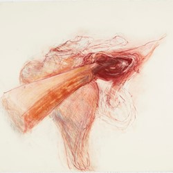 Angela Stewart, Light Horse 1916 #2, 2022, pencil, pastel, Conté crayon and watercolour on Saunders Waterford paper, 56 x 76cm