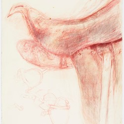 Angela Stewart, Light Horse 1916 #4, 2022, pencil, pastel, Conté crayon and watercolour on Saunders Waterford paper, 76 x 56cm
